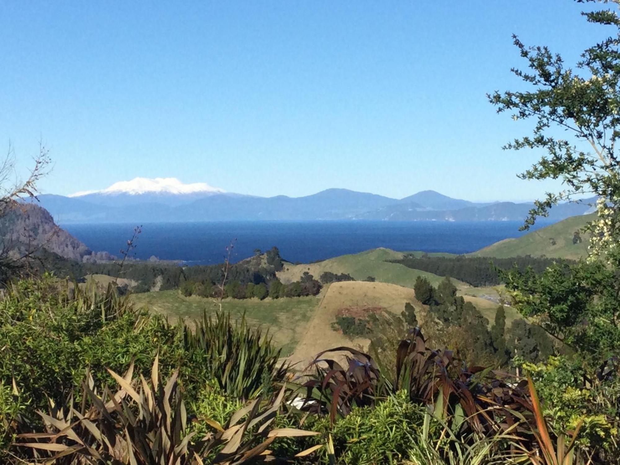 Whakaipo Bay Cabin Retreat Таупо Екстериор снимка
